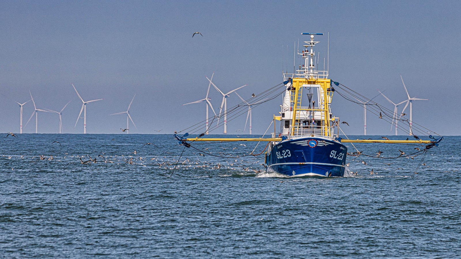 De Blauwe Economie: een zee van mogelijkheden - zee